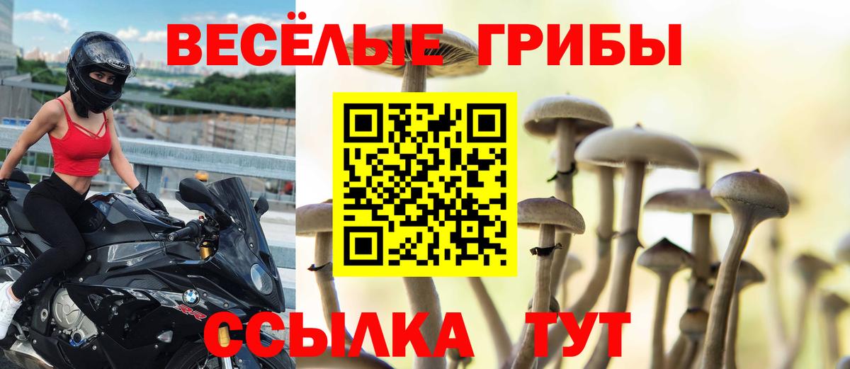 Гашиш  Героин  Бошки Шишки  Вход с VPN  Томск  Меф МЯУ МЯУ   ГАШ  А ПВП СОЛЬ кристаллы  КОКАИН 