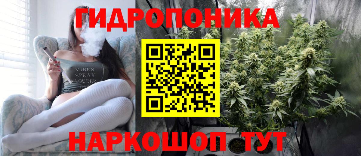 Каннабис Amnesia  Бошки марихуана планчик  Канабис Bruce Banner  Томск  Вход с VPN 